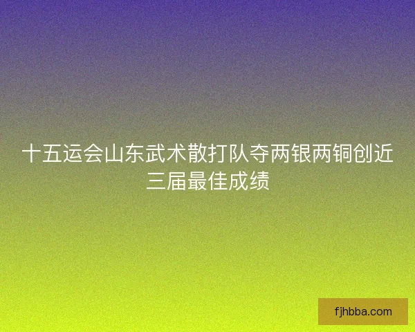 十五运会山东武术散打队夺两银两铜创近三届最佳成绩 十五运会山东武术散打队夺两银两铜创近三届最佳成绩